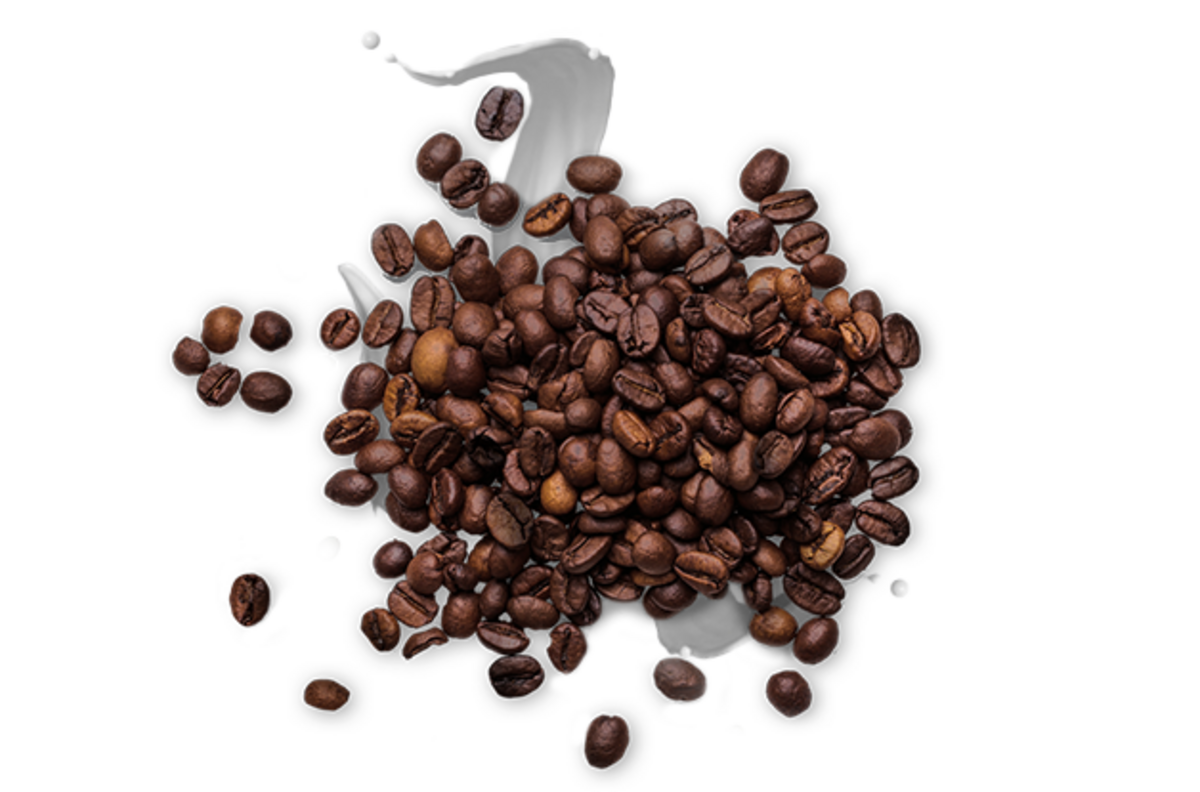 Go Chill Caffè Latte 230ml Go Chill Caffè Latte 230ml